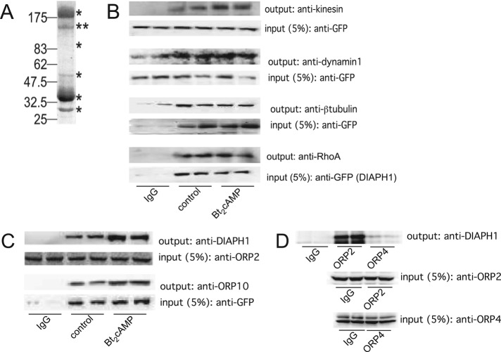 FIGURE 1: