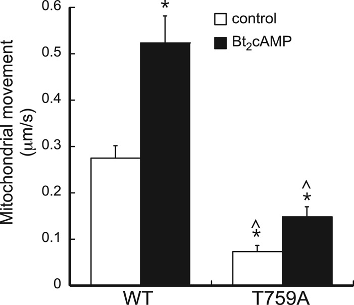 FIGURE 6: