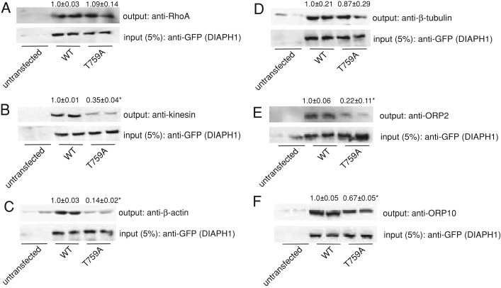 FIGURE 5: