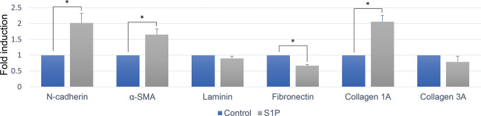 Fig 5