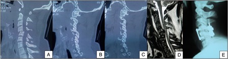 Figure 2 