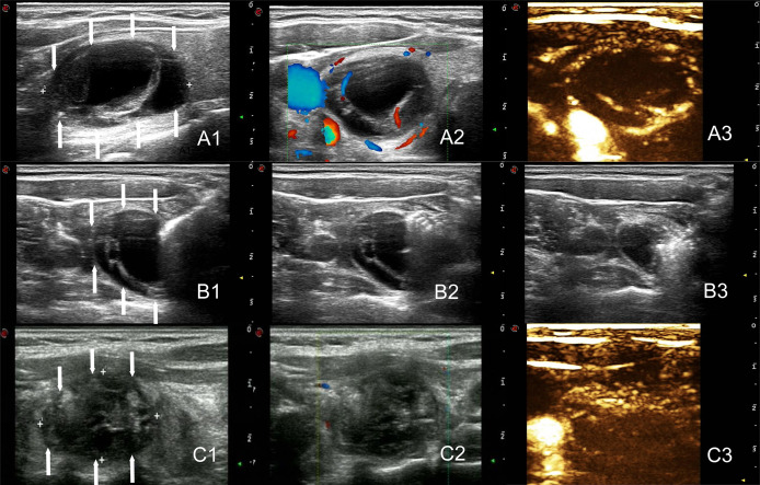 Figure 3