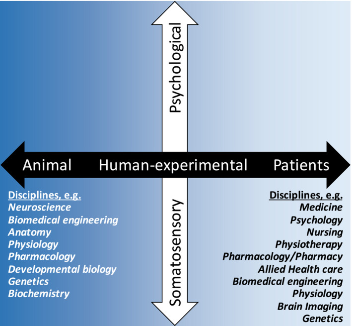 FIGURE 1