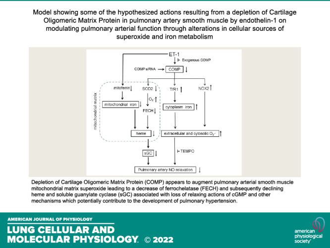 graphic file with name l-00534-2020r01.jpg