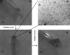 FIG. 4.