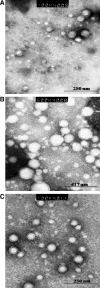 FIG. 2.
