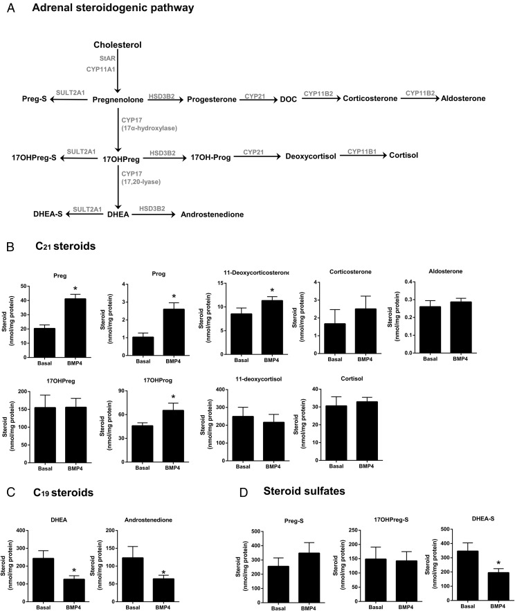 Figure 6.