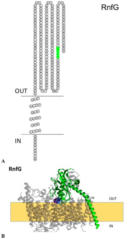 Figure 8