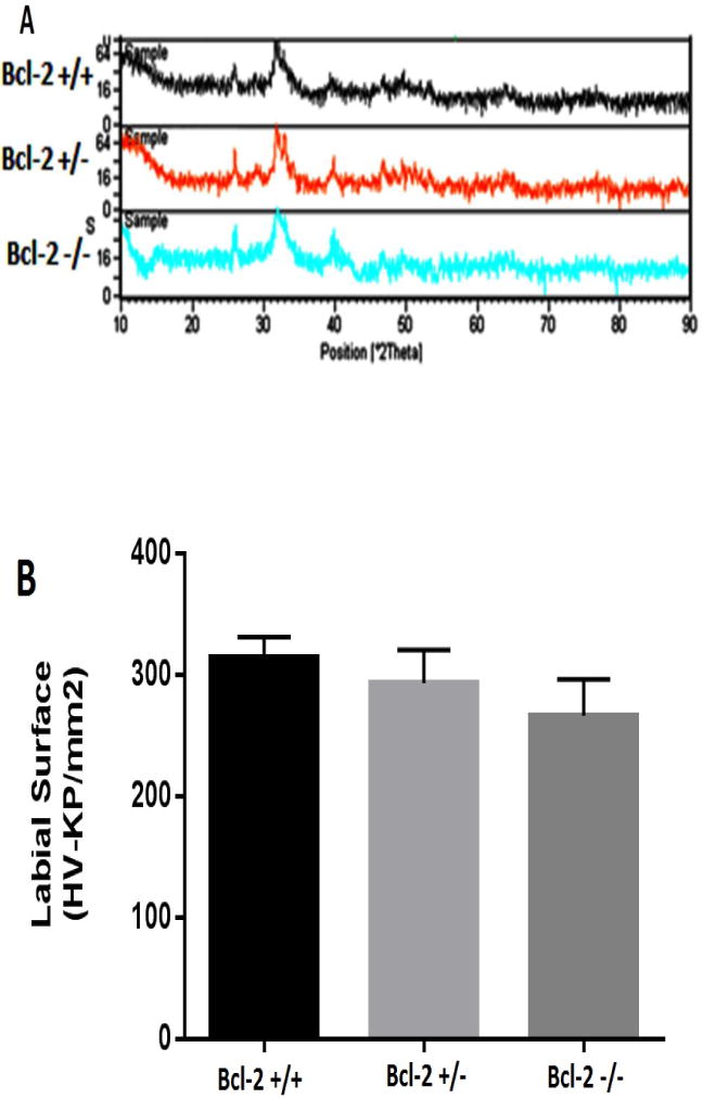 Fig.2