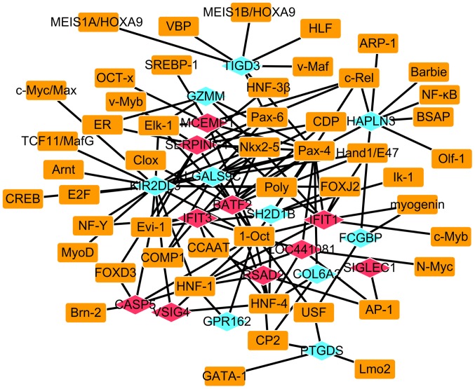 Figure 6.