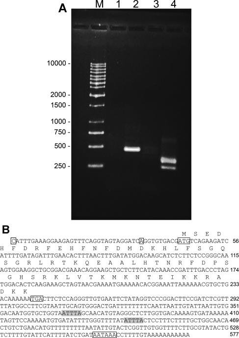 Fig 1.