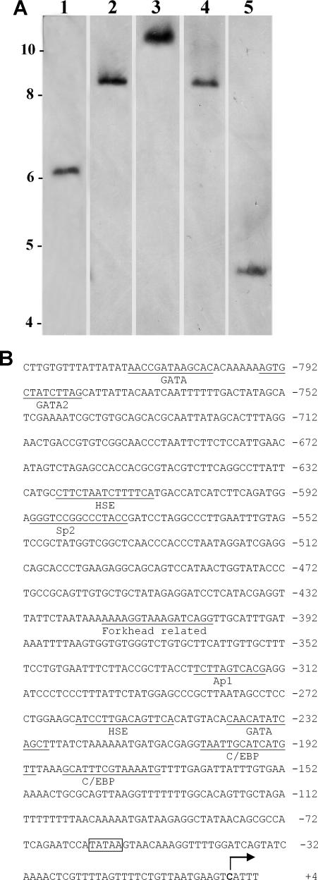 Fig 3.