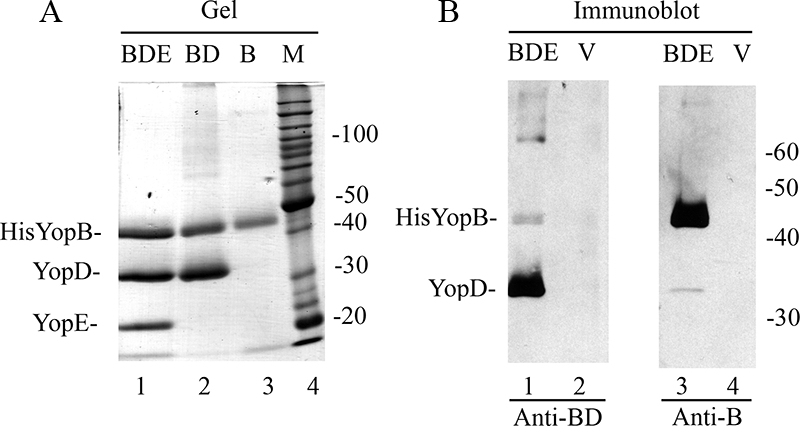 FIG. 7.