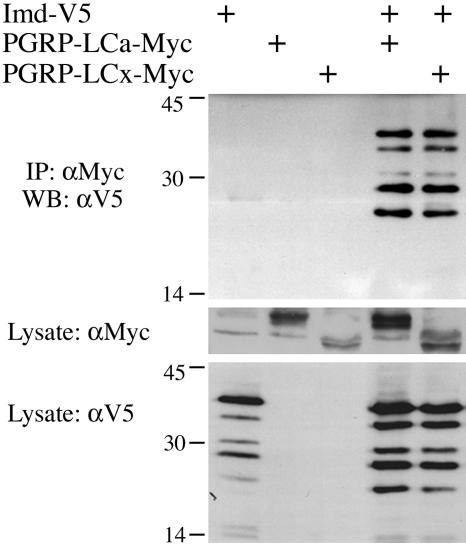 Fig. 3.