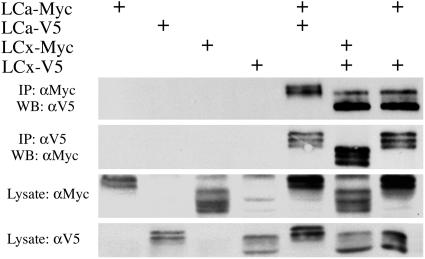 Fig. 5.