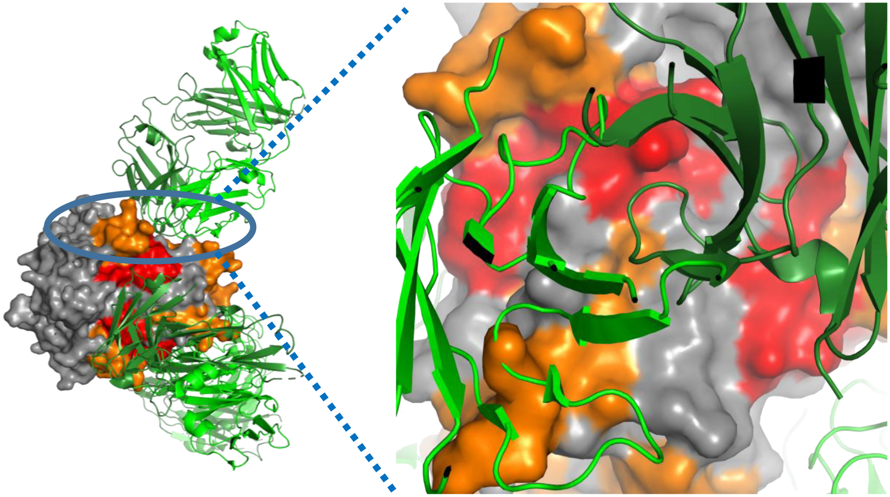 Figure 6.