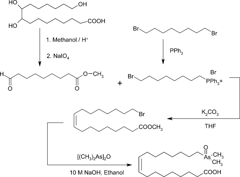 Scheme 3