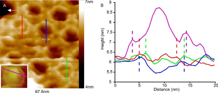 FIGURE 3.