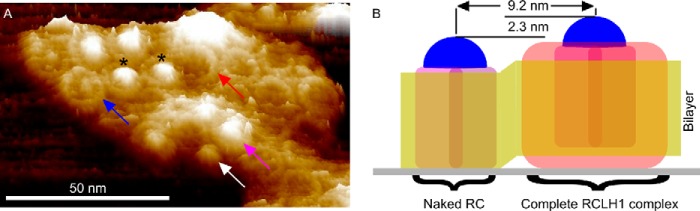 FIGURE 7.