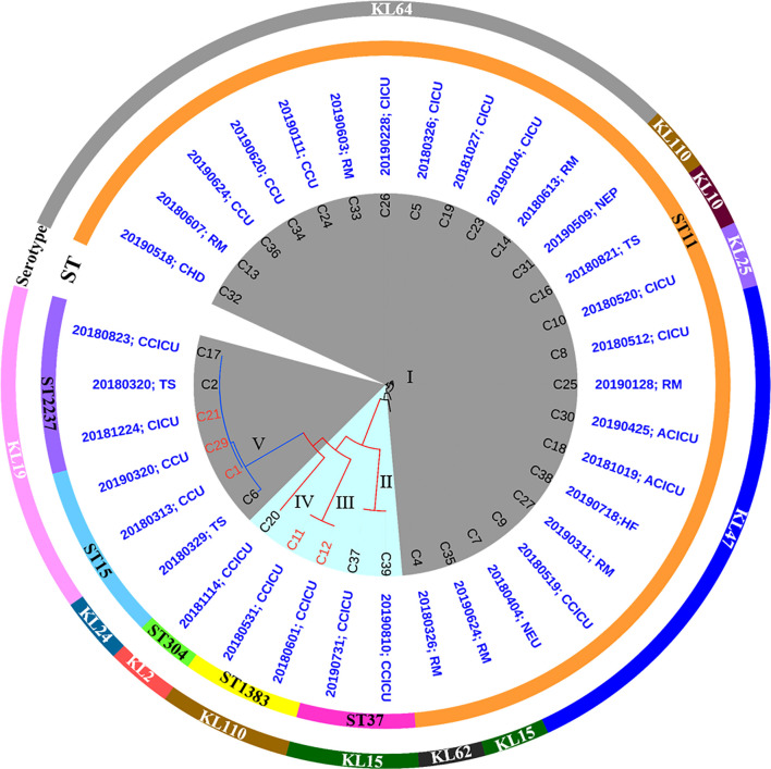 FIGURE 1