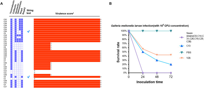 FIGURE 3