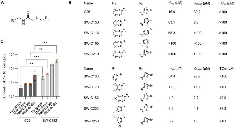 Fig. 6.
