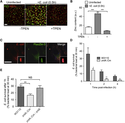 Figure 6