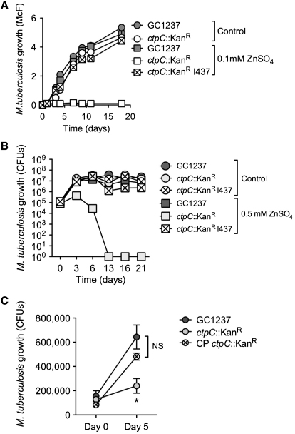 Figure 5