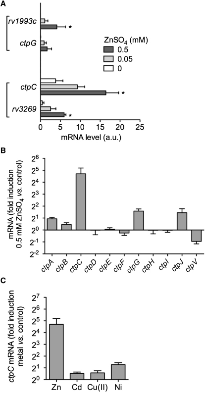 Figure 3