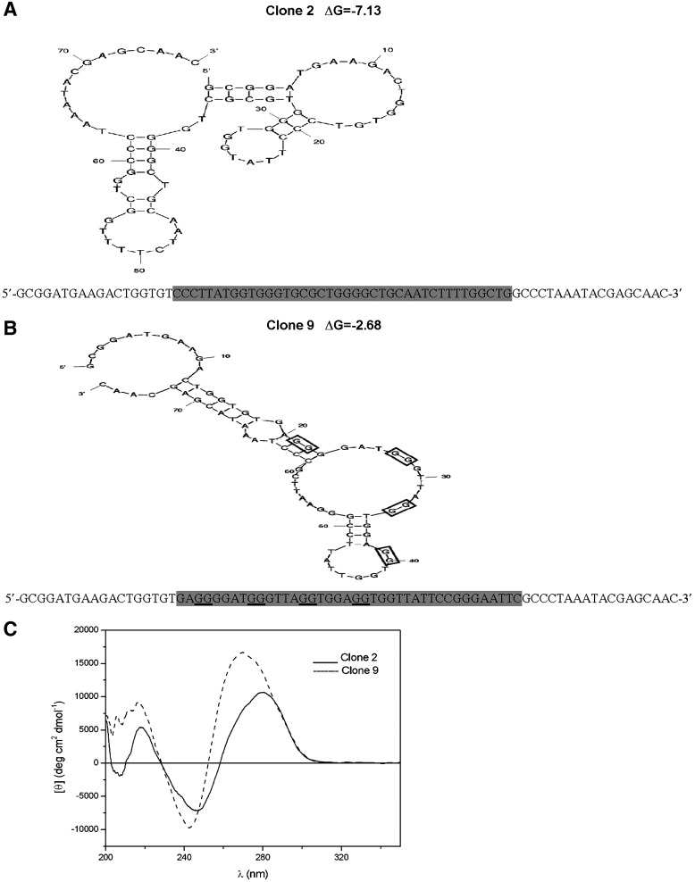 FIG. 3.