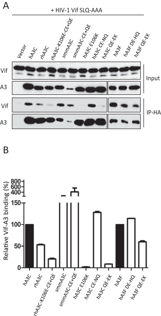 FIG 6