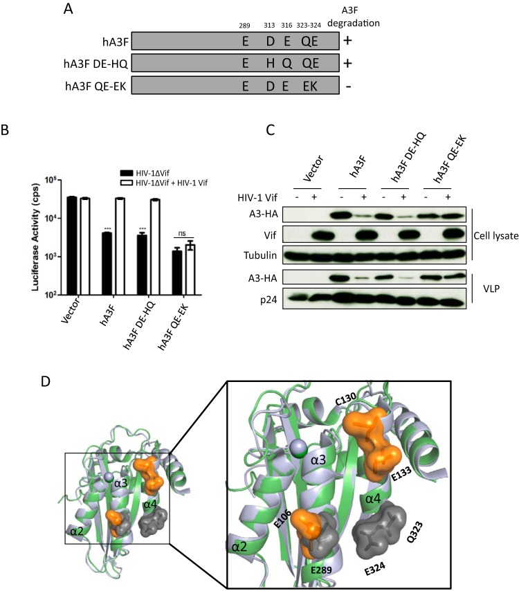 FIG 5