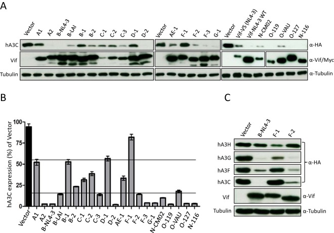 FIG 7