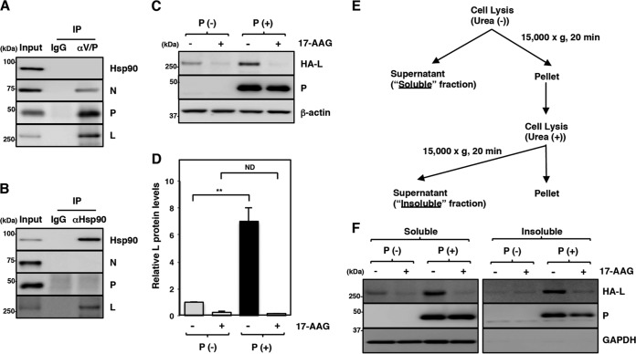 FIG 4