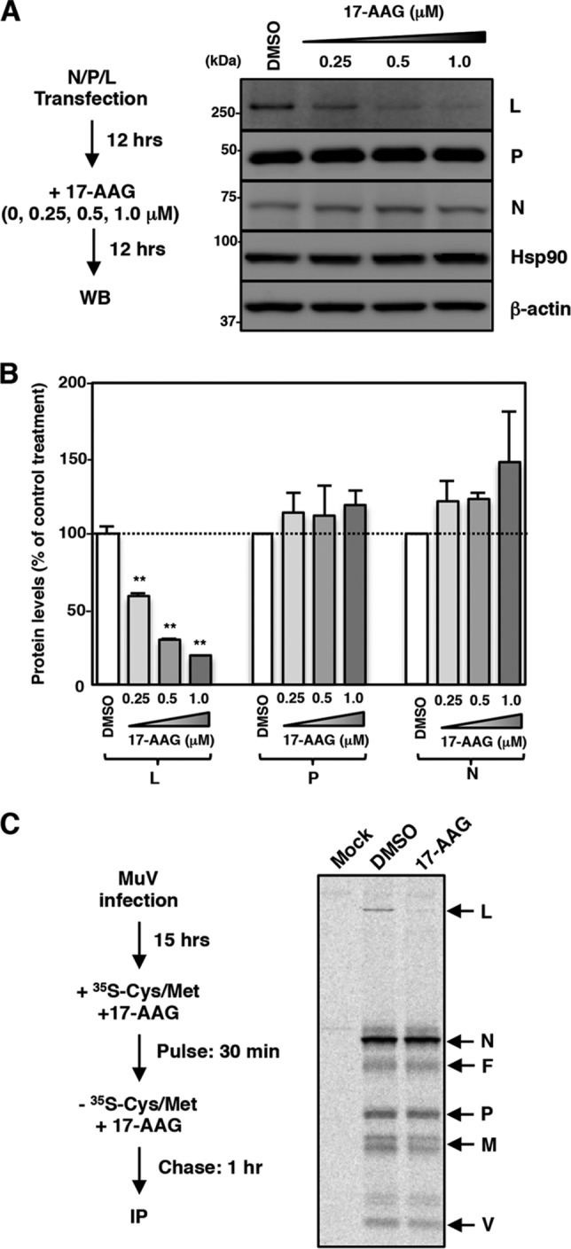 FIG 3