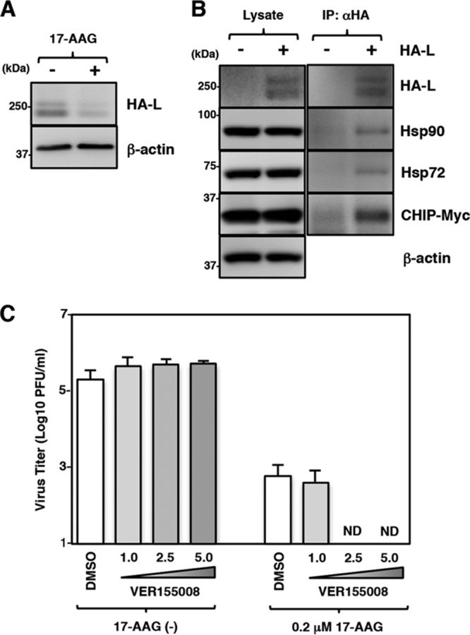 FIG 9