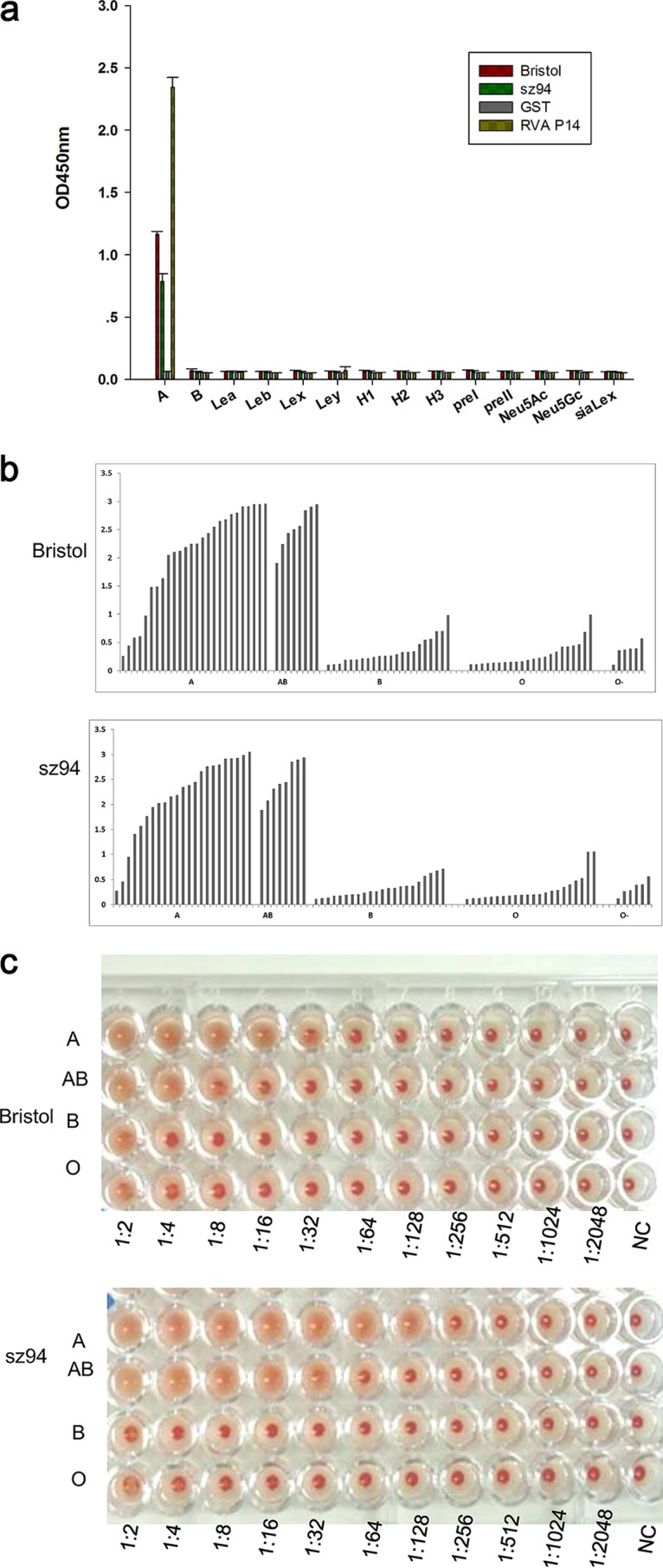 FIG 2