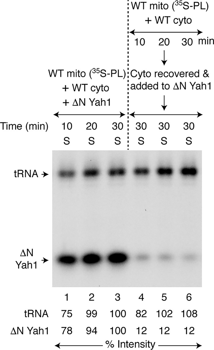 Figure 7.