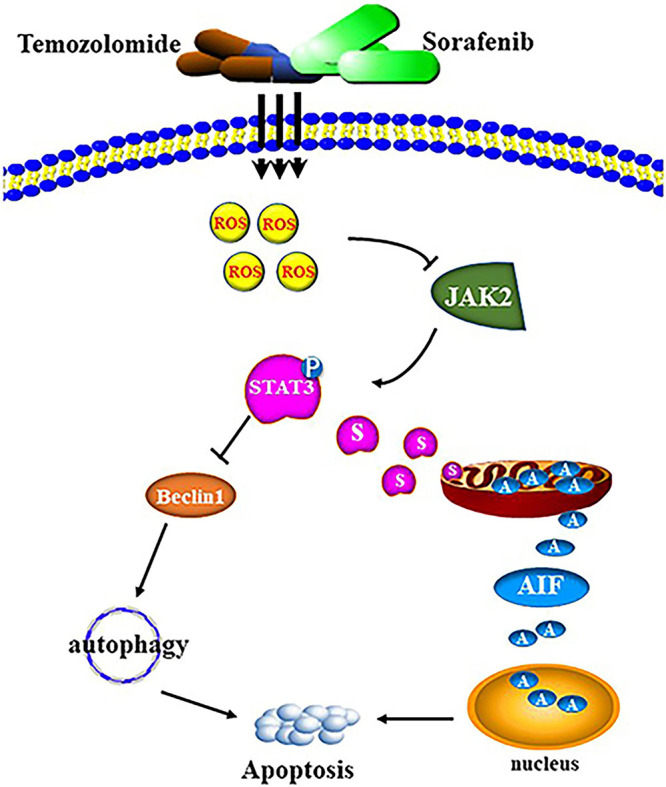 FIGURE 9