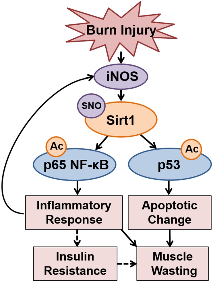 Fig 8