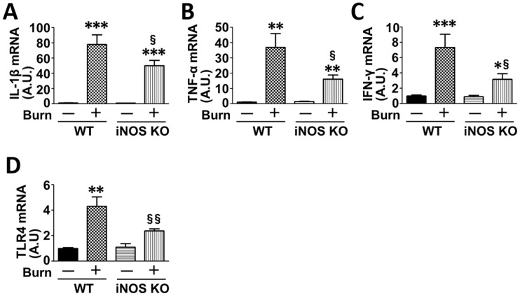 Fig 4