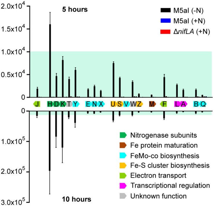 FIGURE 4