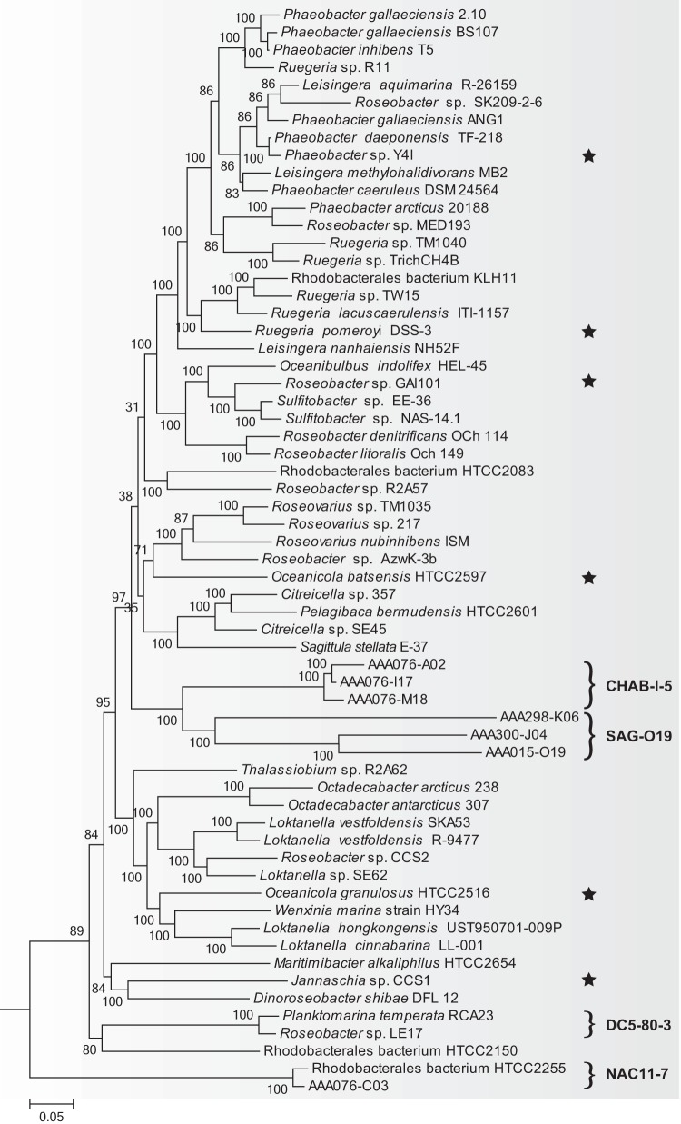 FIG 1