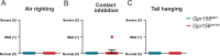 Figure 11—figure supplement 2.