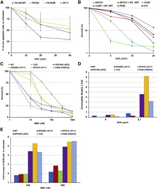 Figure 2