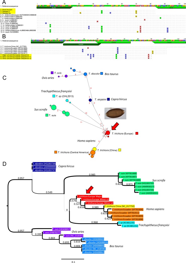 Fig 3