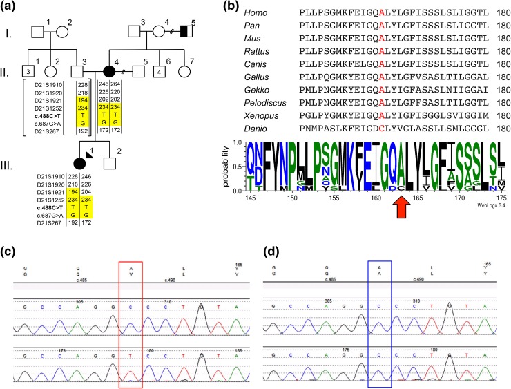 Fig. 3