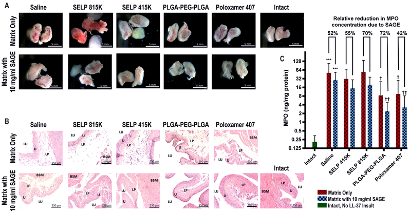 Figure 7: