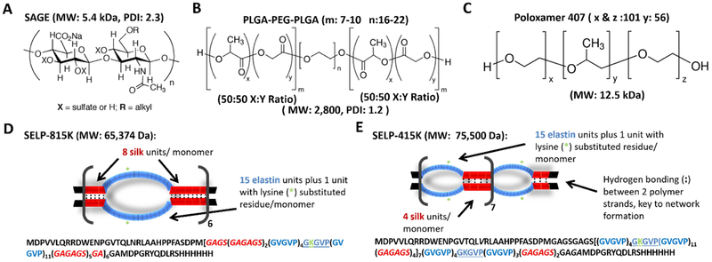 Figure 1: