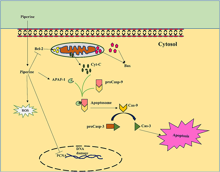 Graphical Abstract